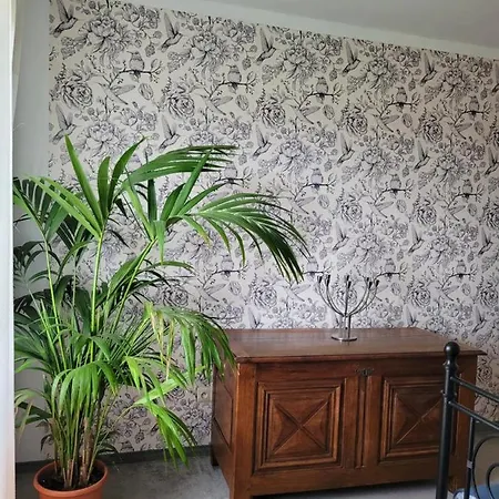 Kaszuby Villagehome 펜션 Borzytuchom