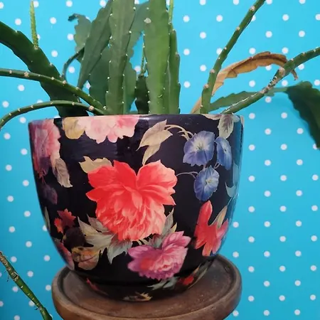 Kaszuby Villagehome 度假居