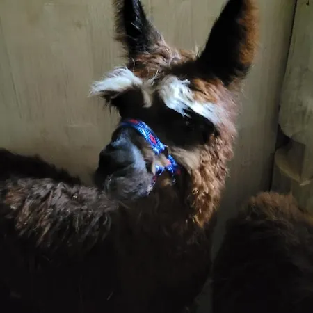 Kaszuby Villagehome *