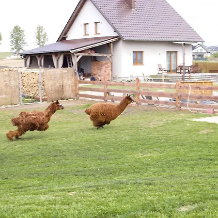 Kaszuby Villagehome Borzytuchom