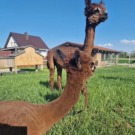 Kaszuby Villagehome 펜션