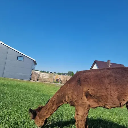 Kaszuby Villagehome 펜션 Borzytuchom