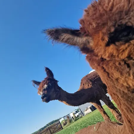 펜션 Kaszuby Villagehome Borzytuchom