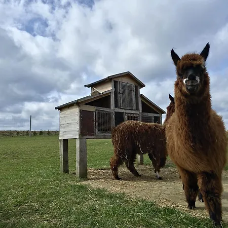 펜션 Kaszuby Villagehome *