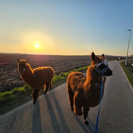 펜션 Kaszuby Villagehome