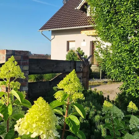 Kaszuby Villagehome Сasa de vacaciones *