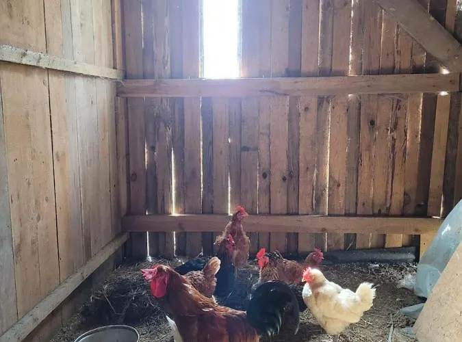 Kaszuby Villagehome Dom wakacyjny *