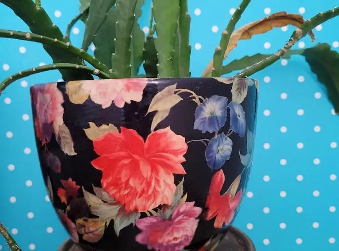 Kaszuby Villagehome Dom wakacyjny