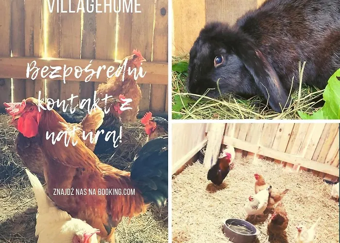 Casa de Férias Kaszuby Villagehome