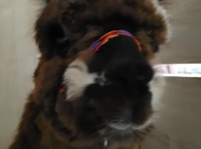 Casa de Férias Kaszuby Villagehome Borzytuchom