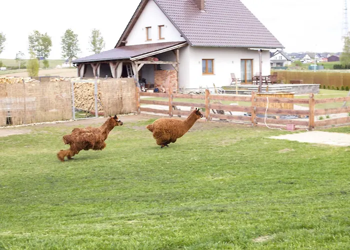 Kaszuby Villagehome Borzytuchom