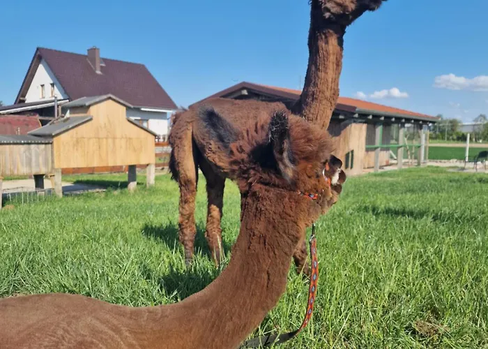 Kaszuby Villagehome Dom wakacyjny