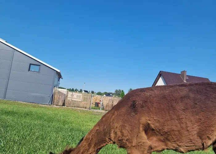 Kaszuby Villagehome Dom wakacyjny Borzytuchom