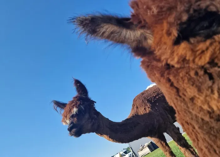 Dom wakacyjny Kaszuby Villagehome Borzytuchom