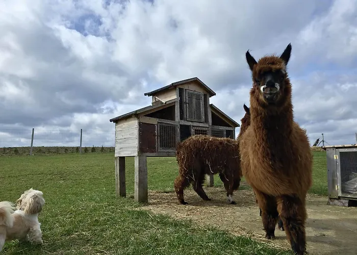 Casa de Férias Kaszuby Villagehome *