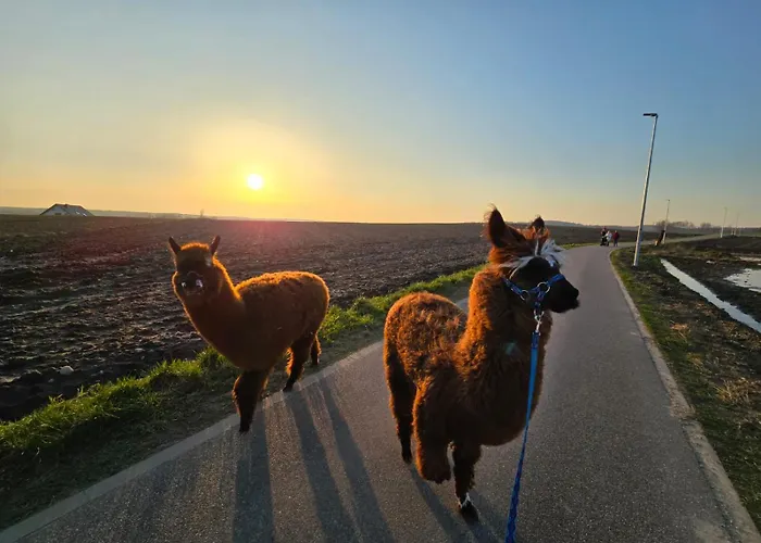 Dom wakacyjny Kaszuby Villagehome