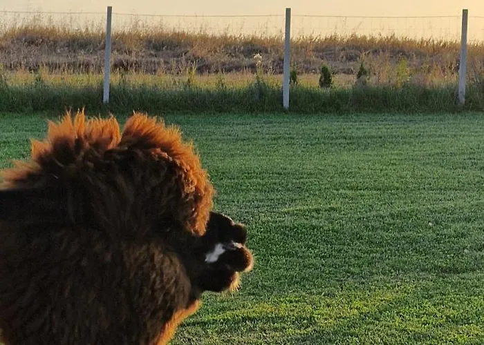 Kaszuby Villagehome Dom wakacyjny *