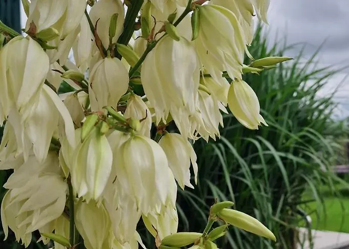 Kaszuby Villagehome Dom wakacyjny