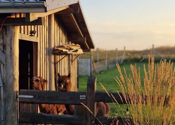 Casa de Férias Kaszuby Villagehome