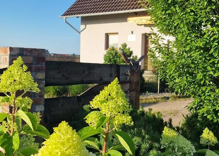 Kaszuby Villagehome Dom wakacyjny *